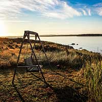 短信压力测试器免费网页版