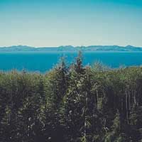 手机轰在线轰炸免费