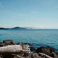 电话轰在线网页版入口