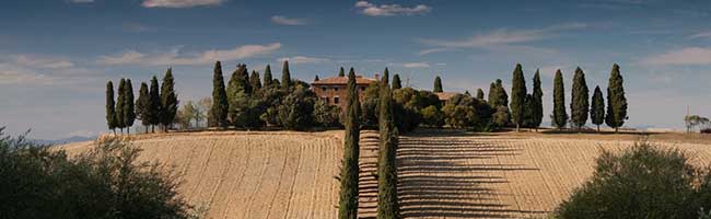 网页电话直接拨打