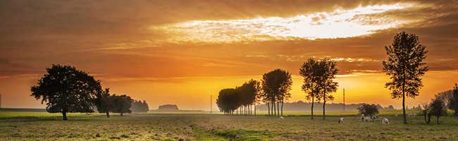 短信压力测试器免费网页版